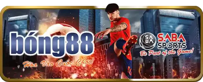 Cá cược bóng đá trên SP8